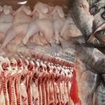 أسعار الدواجن واللحوم والأسماك النهاردة في سوهاج بكام